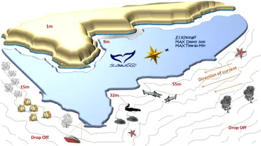 Abu Dabbab vs Marsa Mubarak: Welche Insel hat mehr Meeresleben - Einleitung